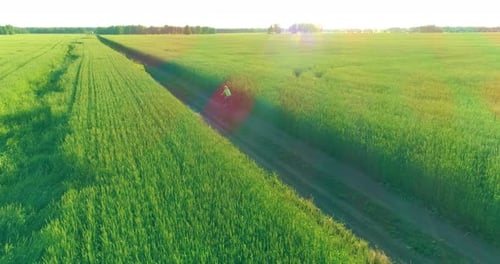 Aerial View on Young Boy That Rides a Bicycle Thru a Wheat Grass Field on the Old Rural Road