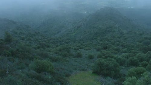 Mist Covering Mountains Timelapse, Weird Place, Mysterious Atmosphere, Thriller
