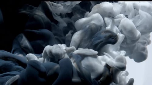 Black and White Ink Swirls in Liquid