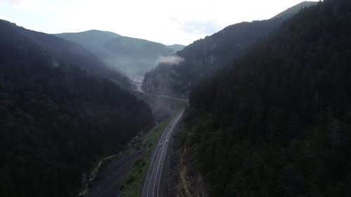 Foggy Forest And Road