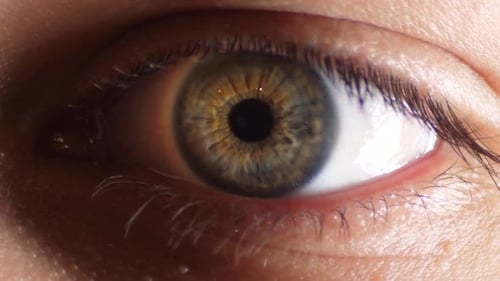 A hazel colored eye focusing - close up