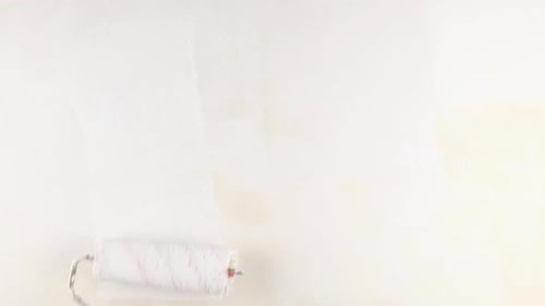 Paint Roller Applies White Paint on Wall