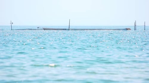 Blue Sea Surface and Net