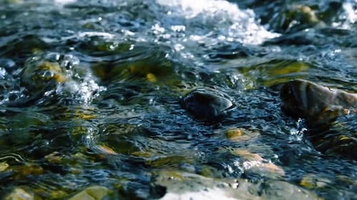 Dolly Slider Shot of the Splashing Water in a Mountain River Near Forest. Wet Rocks and Sun Rays