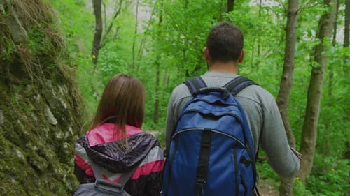 Turistas explorando uma floresta