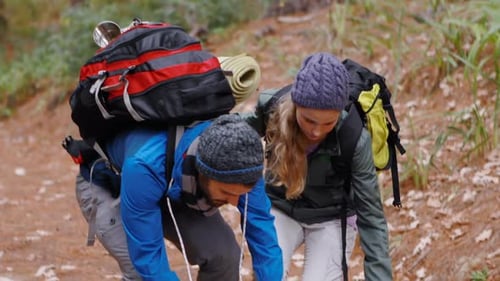 Hikers Reading Map in Forest