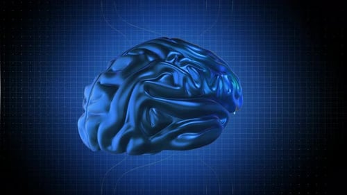Brain Rotating In Dataflow. Looped Abstract Animation Loop 3