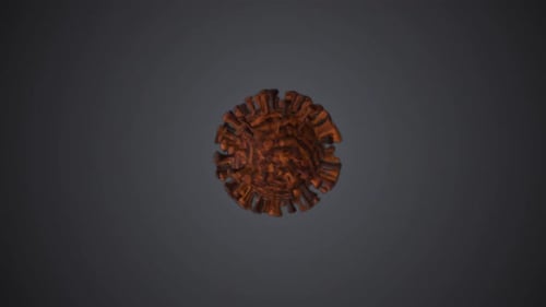 3D Rotating Virus Cell Loop Animation for Medical Projects