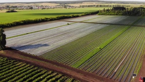 Aerial View of Agricultural Fields in Rural Landscape