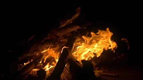 Campfire Flames Burning Brightly at Night