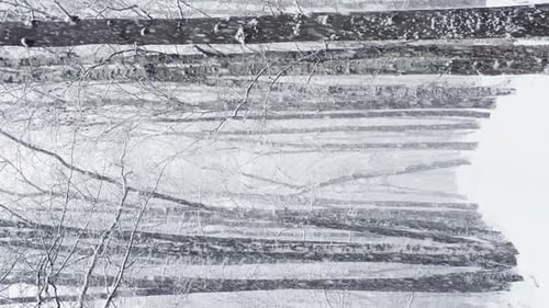 Heavy Snowfall in a Wild Park Large Flakes of Snow are Slowly Falling Snow Storm Blizzard Nobody