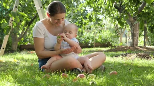 Happy Smiling Mother with Little Baby Son Sitting at Orchard and Collecting Ripe Apples