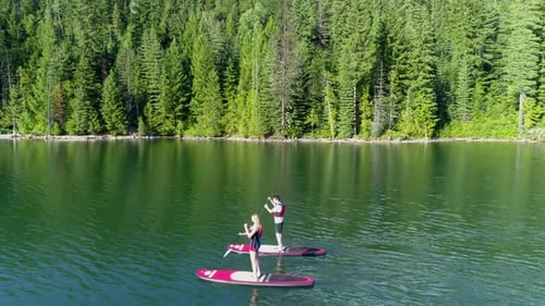 Couple rowing a stand up paddle board in the river