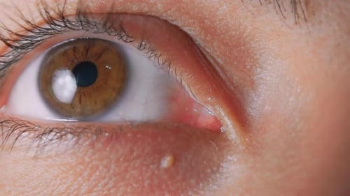 Extreme Close Up of Blinking Eye