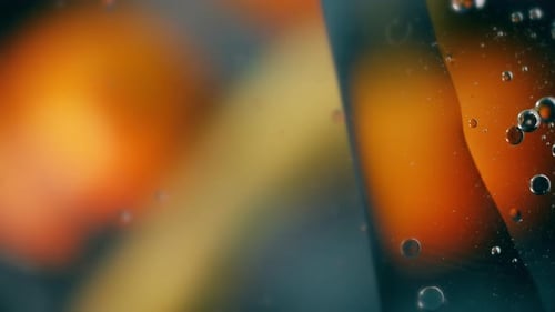 A Drop of Oil Floating on Water