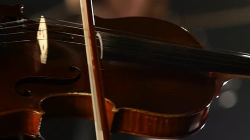 Violinist playing a violin with a bow, close up