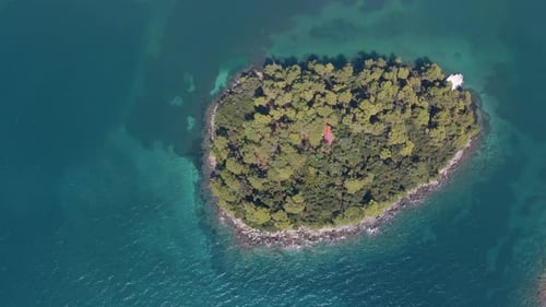 kleine exotische Inselantenne