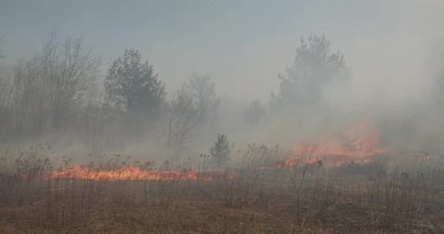 Les vents violents exacerbent beaucoup de fumée dans la forêt