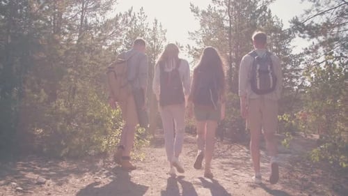 Four Young People with Backpacks Hiking in Woods