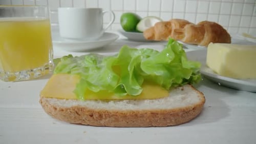 Piece of Cheese Green Fresh Salad and Red Slice of Tomato Falling on a Bread Toast in Slow Motion