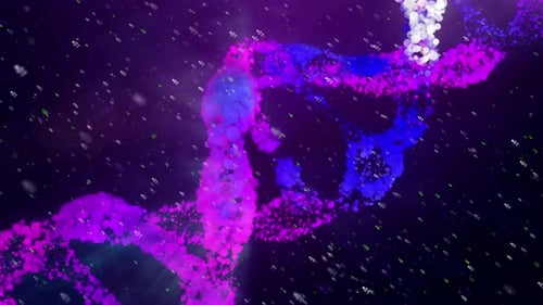 Spiral Dot Digital DNA Violett