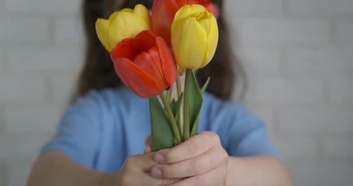 Girl Smelling Yellow and Red Tulips Indoors