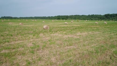 Aerial View of Hay Bales on the Green Field
