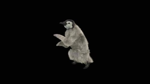 Penguin Dancing HD