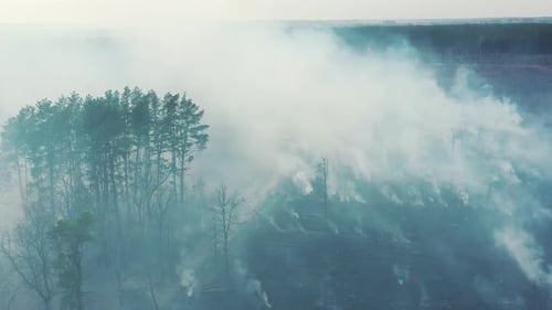 Aerial View. Spring Dry Grass Burns During Drought Hot Weather. Bush Fire And Smoke In Meadow Field
