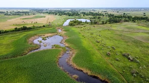 Lake among green fields. A pond surrounded by green meadows