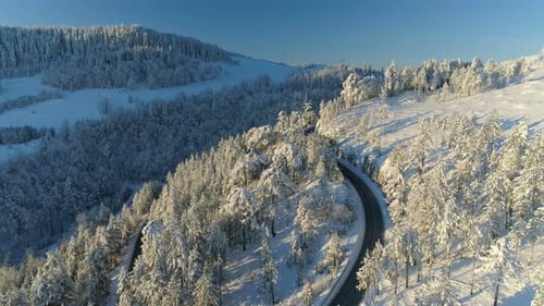 Flight Over the Road Through the Snowy Forest at Sunrise