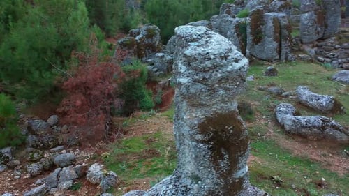 Blick von oben auf einzigartige Felsformationen im Nadelwald