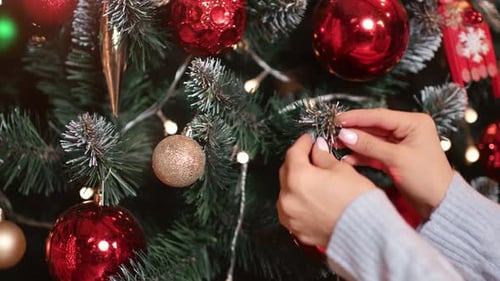 Decorating the Christmas Tree with Shiny Ornaments