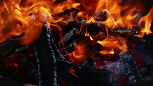 Burning Flames Close Up of Firewood