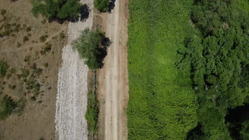 Vogelperspektive auf unbefestigte Straße mit üppiger Landschaftsvegetation am Tag - Drohnenaufnahme aus der Vogelperspek