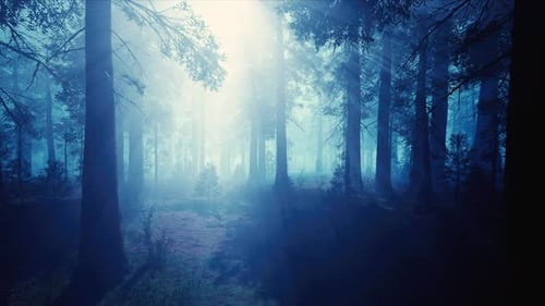 Ethereal Forest Path with Sunbeams and Fog