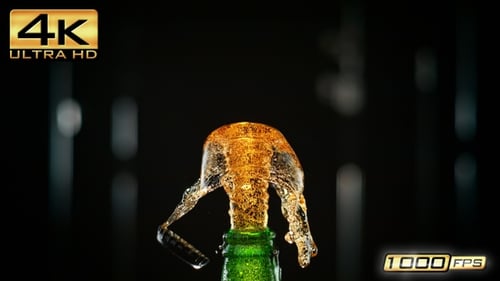 Beer Bottle Cap