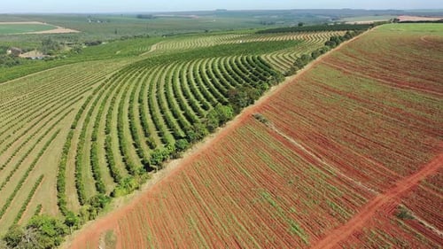 Vista aérea da paisagem rural. Cenário natural