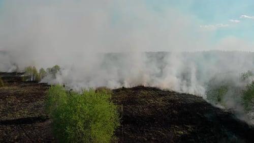 Flying Over a Wildfire