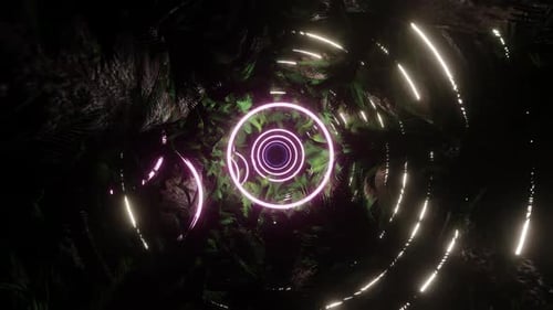 Palme im Licht Neon 02 HD