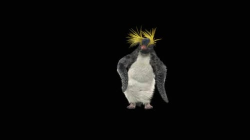 73 Pinguin tanzend HD