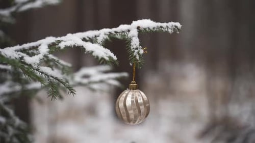 Close Up Woman Decorate Christmas Tree with Balls