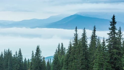White Clouds Move Slowly Along Autumn Mountain Forest at Hill During Rain