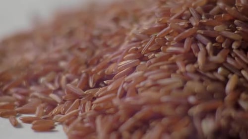 Raw Red Rice on the Table. Red Rice Closeup. Concept: Footage for the Recipe. . Food Video
