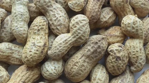Close Up of Pile of Shelled Peanuts
