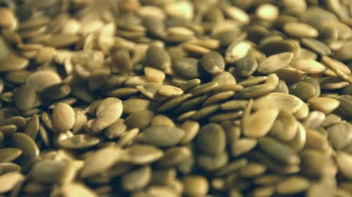 Pumpkin Seeds
