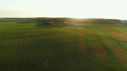 Grüne Wiese und Farm bei Sonnenuntergang