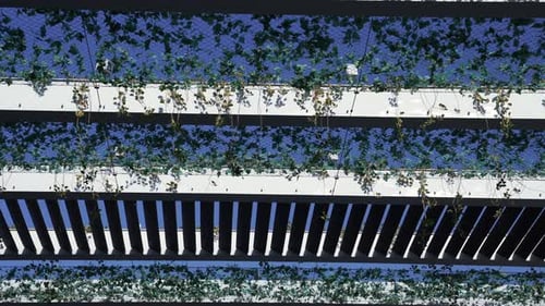 Dubai Expo 2020 Exhibition Show with Many Amazing Pavilions