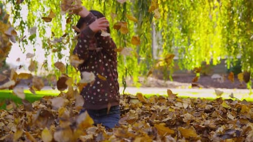 Little Girl Playing in Leaves on Sunny Day