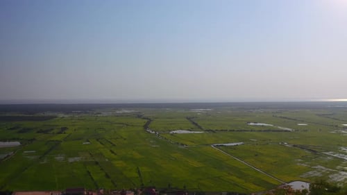 Aerial View of Green Rice Paddy Fields